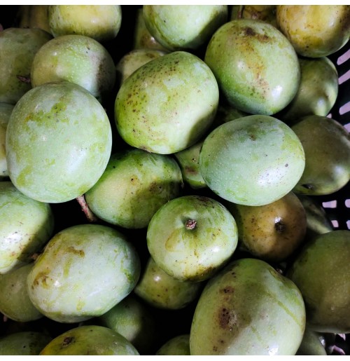 Moovandan Mango (from Kerala) (3 - 5 days to ripen)